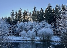 Ferienwohnung mit Balkon im Schwarzwald