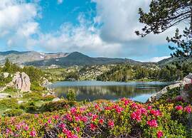 Peaceful Pyrenees Retreat