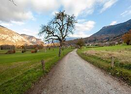 Charming Savoyard Apartment