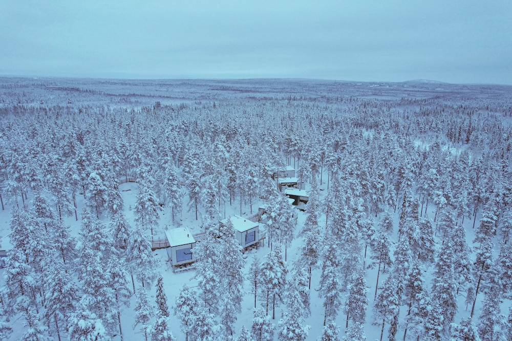 Invisible Forest Lodge
