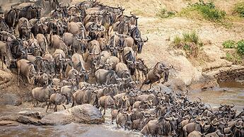 Malaika Mara River Luxury Camp