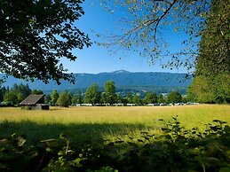 Nice Chalet in Pressegger See With Terrace