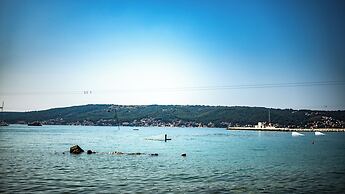 Red Eirth Kastel Stafilic