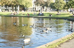 Clapham 3-bed Flat, Sleeps 6 With Free Parking