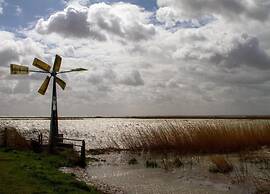 Lodge by Markermeer Near Hoorn