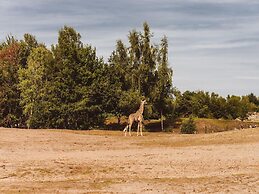 Villa in Someren Near Golf Course