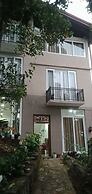 Peaceful Peak