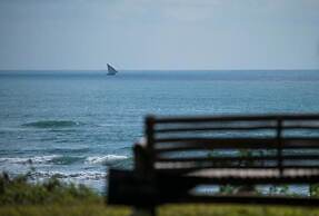 Amani Beach Resort