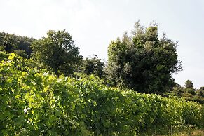 Quinta de Reis