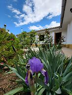 Schatzi Lodge