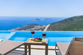 Lux Villa With Jacuzzi Inf Pool - All Rooms w AC