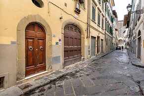 Pinzochere 16 N in Firenze