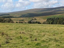 Pet Friendly - Lodge at Riverview Holiday Park