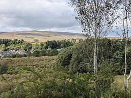 Pet Friendly - Lodge at Riverview Holiday Park