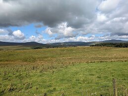 Pet Friendly - Lodge at Riverview Holiday Park