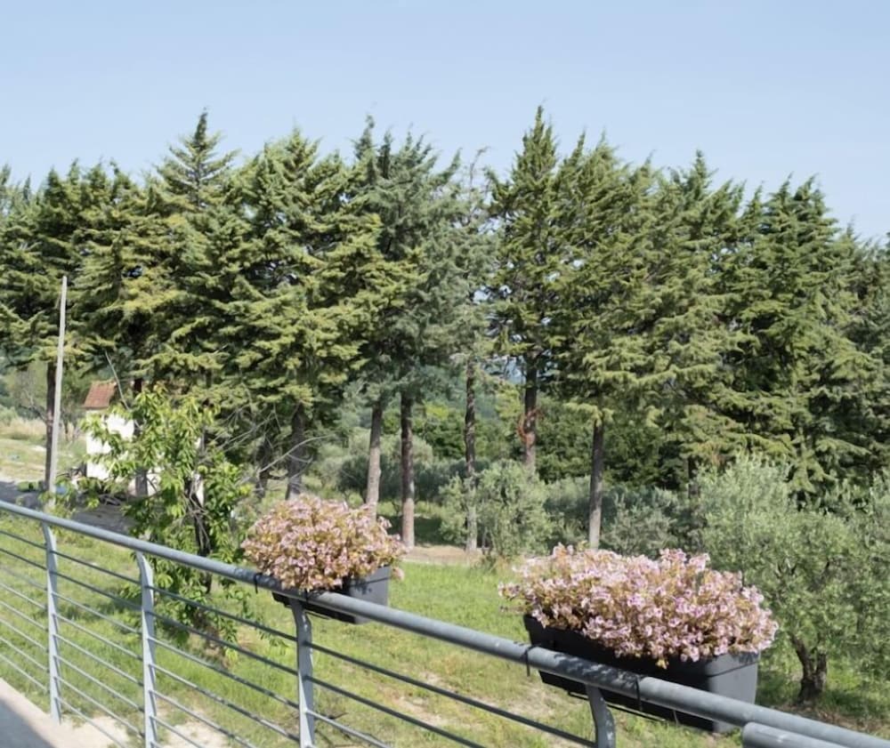Bed and breakfast La Caruscia