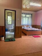 Pine Resort