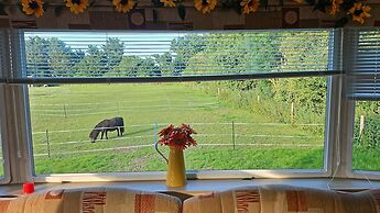 Quiet Equestrian Retreat - Sleeps 4