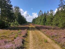 4 Star Holiday Home in Brande