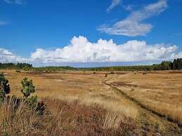 4 Star Holiday Home in Brande