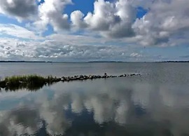 Ferienwohnung Grosser Seestern in Wiek