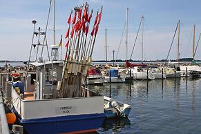 Ferienwohnung Grosser Seestern in Wiek
