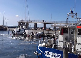 Ferienwohnung Grosser Seestern in Wiek