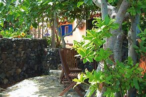 Finca in El Tanque With a Terrace