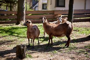 Ferienhauser im Naturresort Drewitz