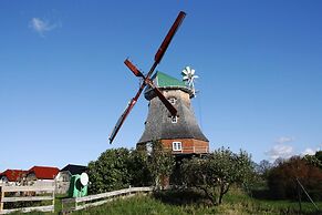 Hollaender Windmuehle in Neubukow
