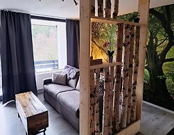 Studio in Winterberg Near Ski Slopes