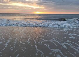 Ferienwohnung in Westerland auf Sylt