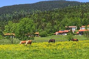 Chalet Chiemgau, Inzell