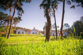 Gemutlicher Bungalow in Storkow am See