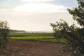 Cottage, Witsum