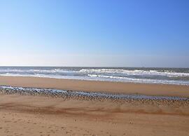 Chic Flat Near Ostend Beach