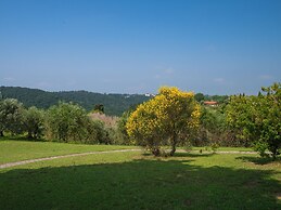 Montaione Charm: Spacious Haven
