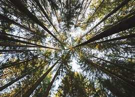 Wohnung im Teutoburger Wald Externsteine