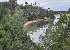 Apartment in Giens With Pool & Beach Access