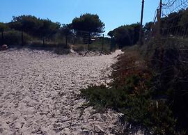 Apartment in Giens With Pool & Beach Access