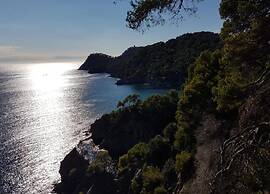 Apartment in Giens With Pool & Beach Access