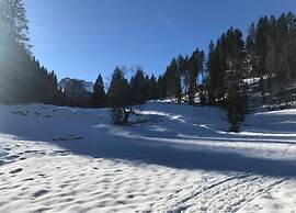 Dog-friendly Chalet in Bregenzerwald