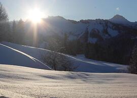 Dog-friendly Chalet in Bregenzerwald