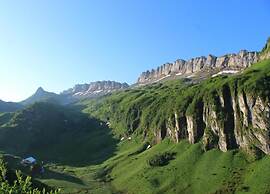Dog-friendly Chalet in Bregenzerwald