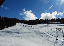 Dog-friendly Chalet in Bregenzerwald