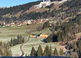 Dog-friendly Chalet in Bregenzerwald