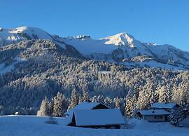 Dog-friendly Chalet in Bregenzerwald