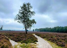 Getaway With Garden in Gelderland
