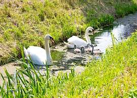 Getaway With Garden in Gelderland