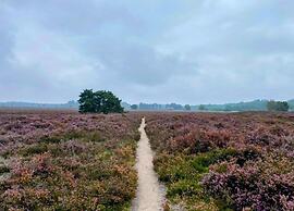 Getaway With Garden in Gelderland